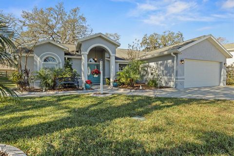 A home in ZEPHYRHILLS