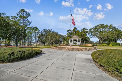 A home in WINTER GARDEN