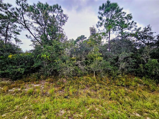 105 BRONSON ST NW, LAKE PLACID, FL 33852 - Image e28fab35de543fbcf40f4a307b8277df/1659982534