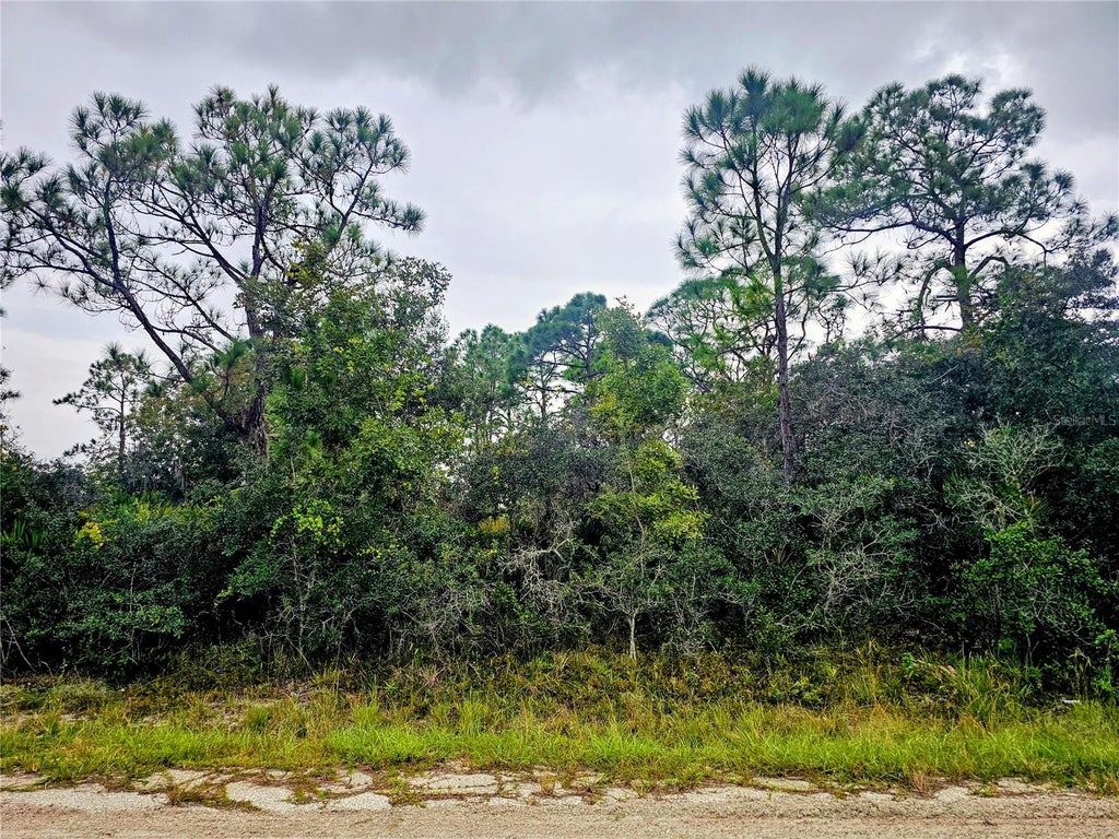 Photo of 105 Bronson Street NW, Lake Placid, FL 33852 (MLS # P4940103)