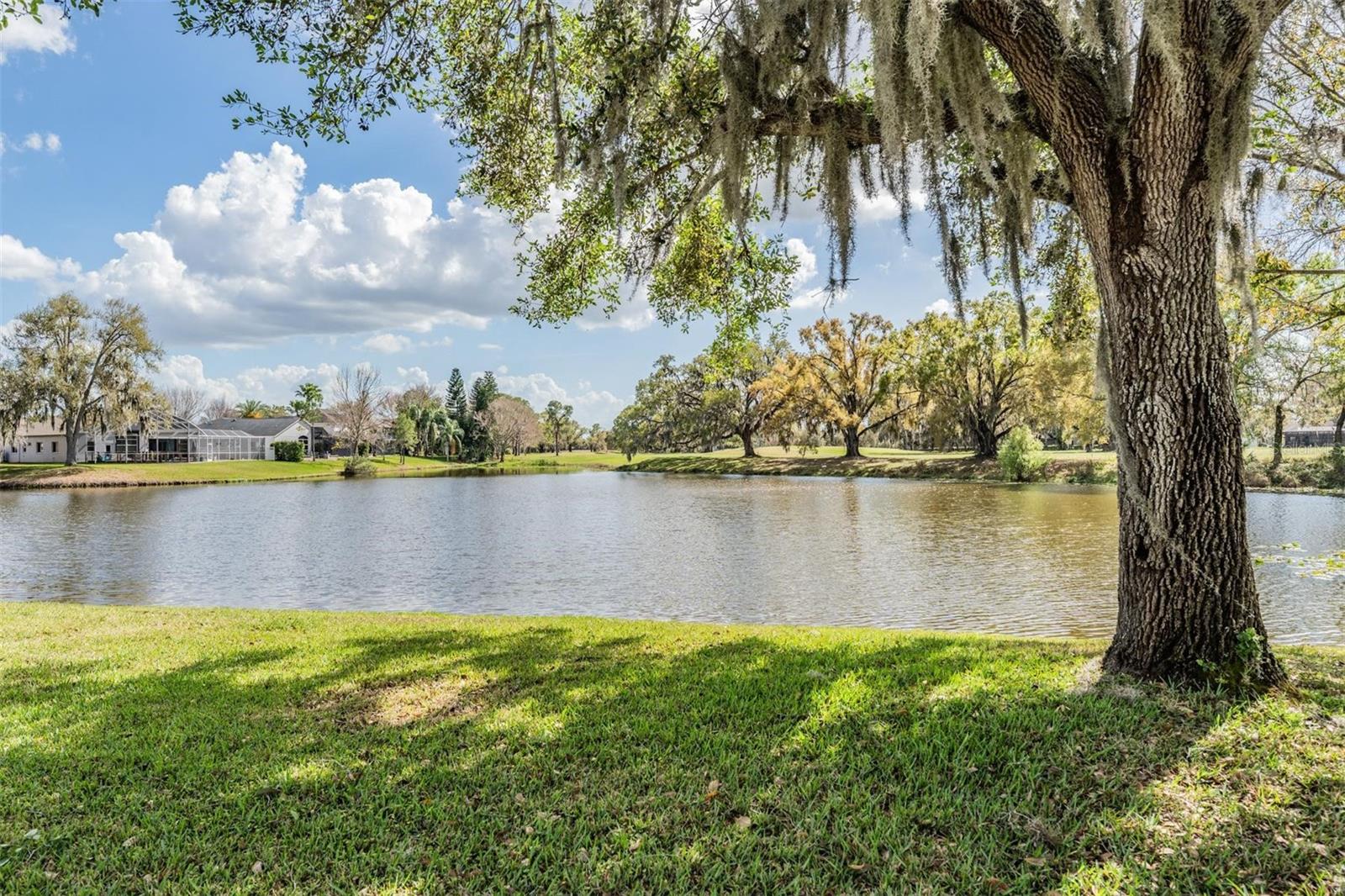 NINE EAGLES UNIT ONE SEC I - Residential