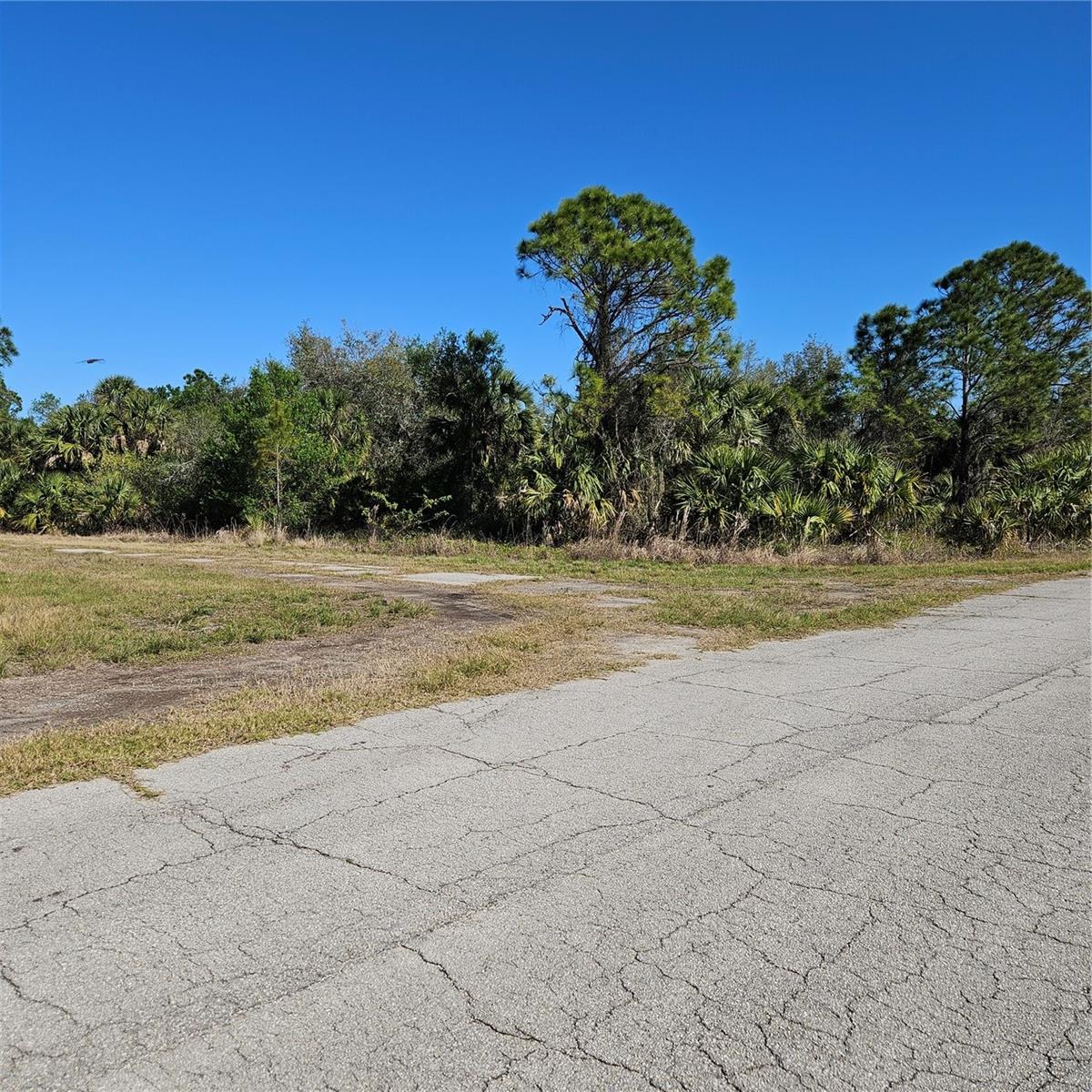 PORT CHARLOTTE SUB 45 - Land