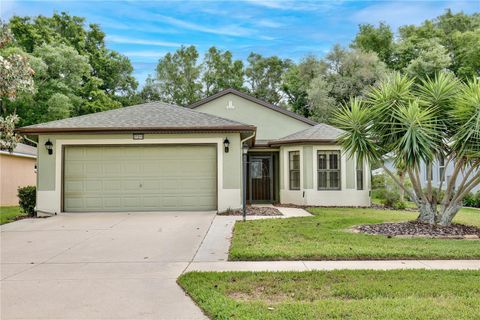 Photo of 27210 Stoney Brook Drive, Leesburg, FL 34748 (MLS # O6400899)