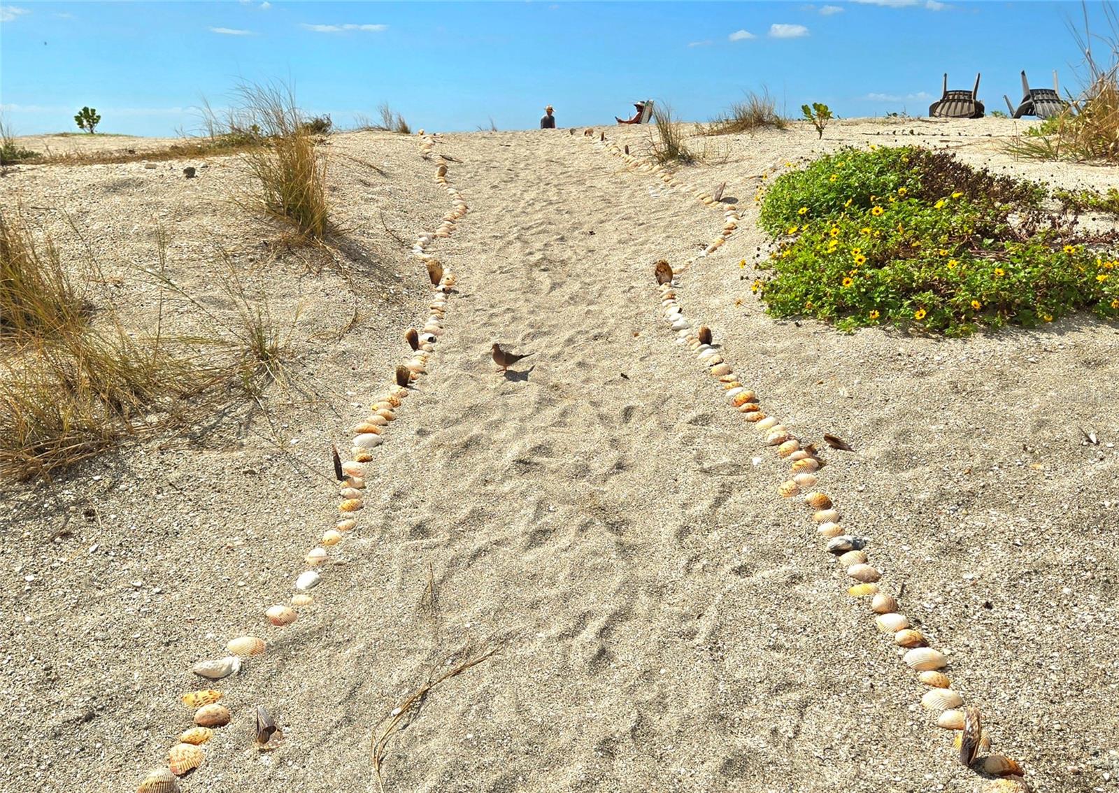 IMPERIAL HOUSE OF VENICE - Residential