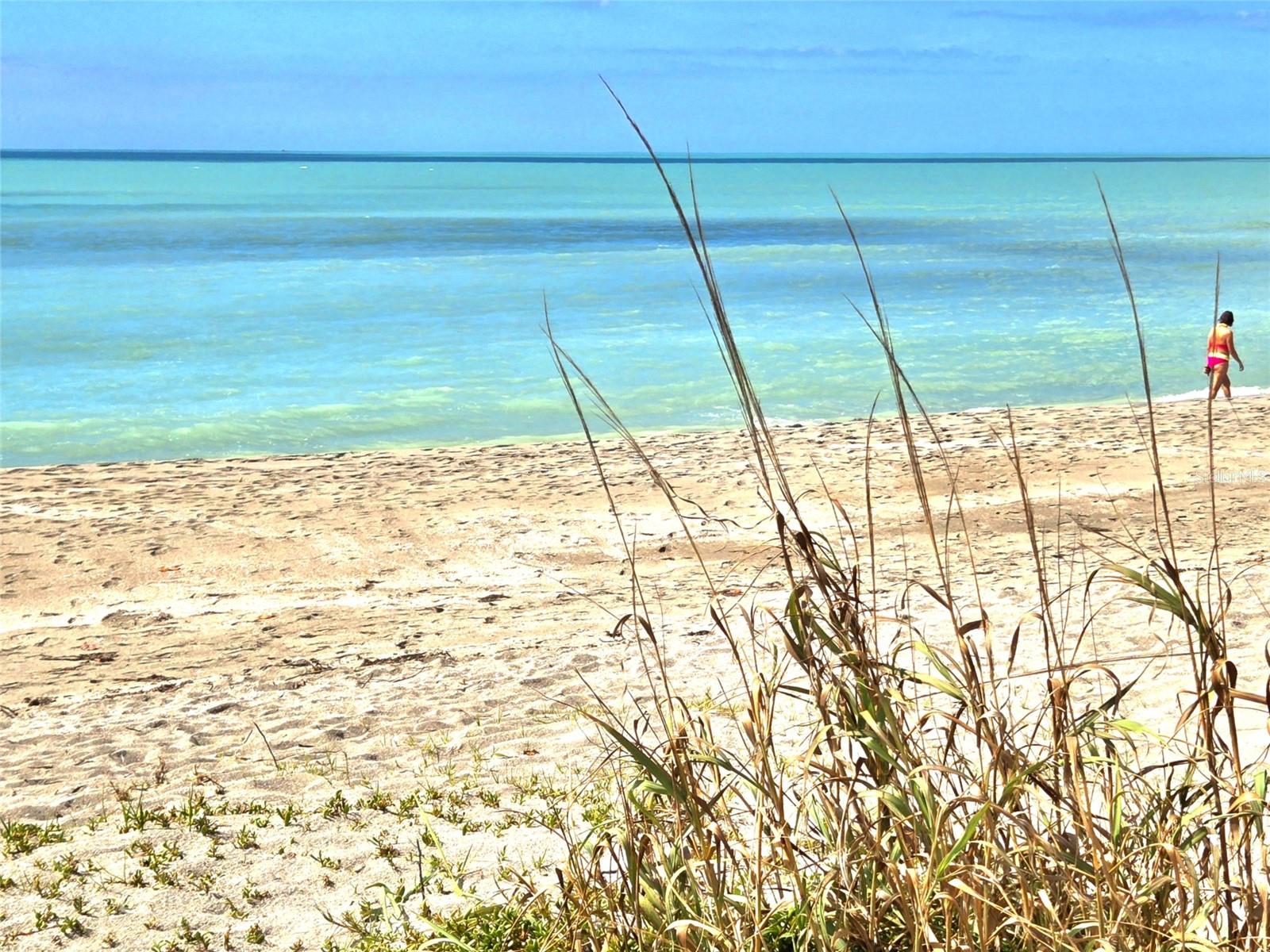 IMPERIAL HOUSE OF VENICE - Residential