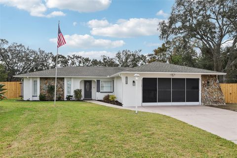 A home in SPRING HILL