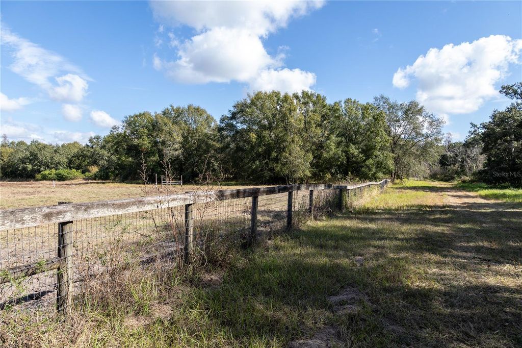 Photo of 11560 Tarpon Springs Rd, Odessa, FL 33556 (MLS # TB8480455)