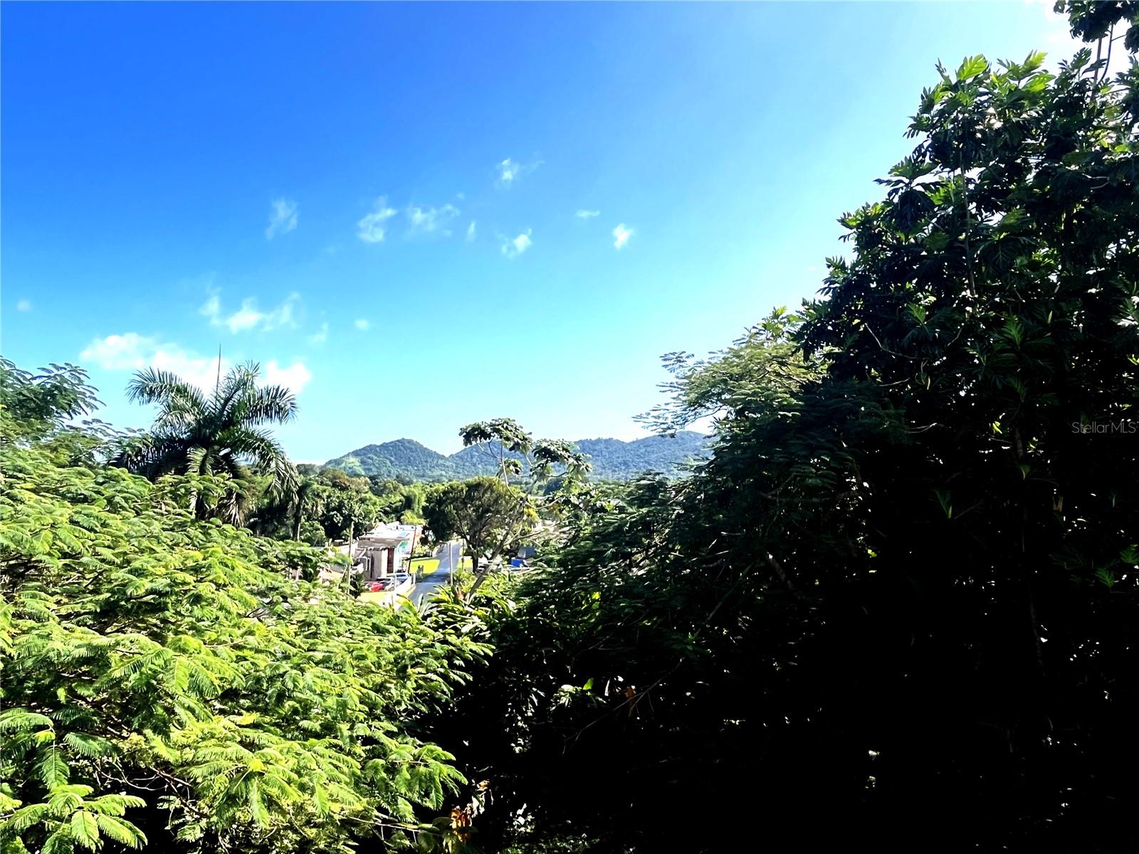 BARRIO TEJAS - Residential