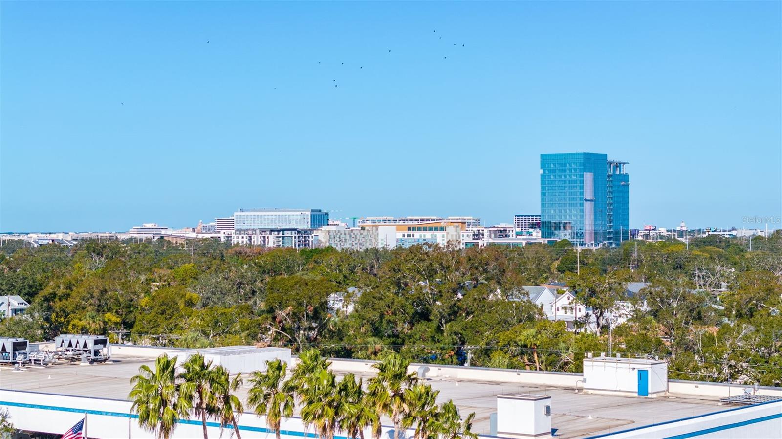 PALMA CEIA GARDENS CONDO - Residential Lease