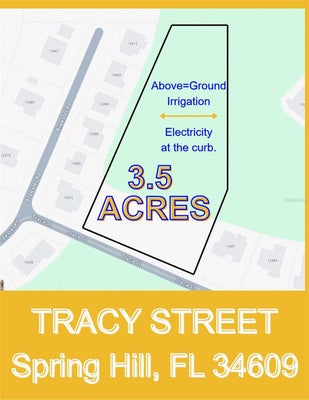 0 TRACY STREET, SPRING HILL, FL 34609 - Image e2a8c1f8d035c9253a0fed3d66d2da86/1973706106