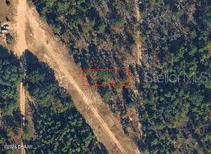 Photo of Xx N Lakeview Dr Lot 142/4, Interlachen, FL 32148 (MLS # FC320753)