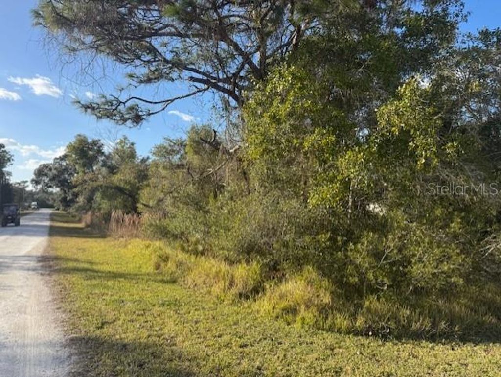 Photo of 35367 Kramer Street, Webster, FL 33597 (MLS # G5106029)