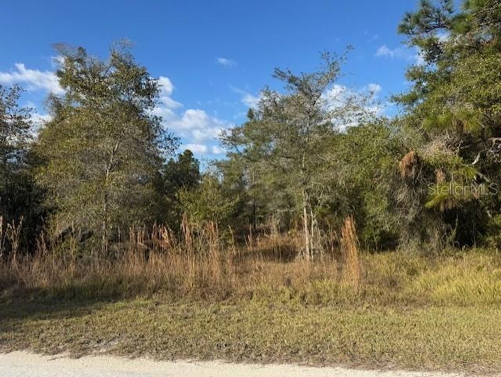 Photo of 35367 Kramer Street, Webster, FL 33597 (MLS # G5106029)