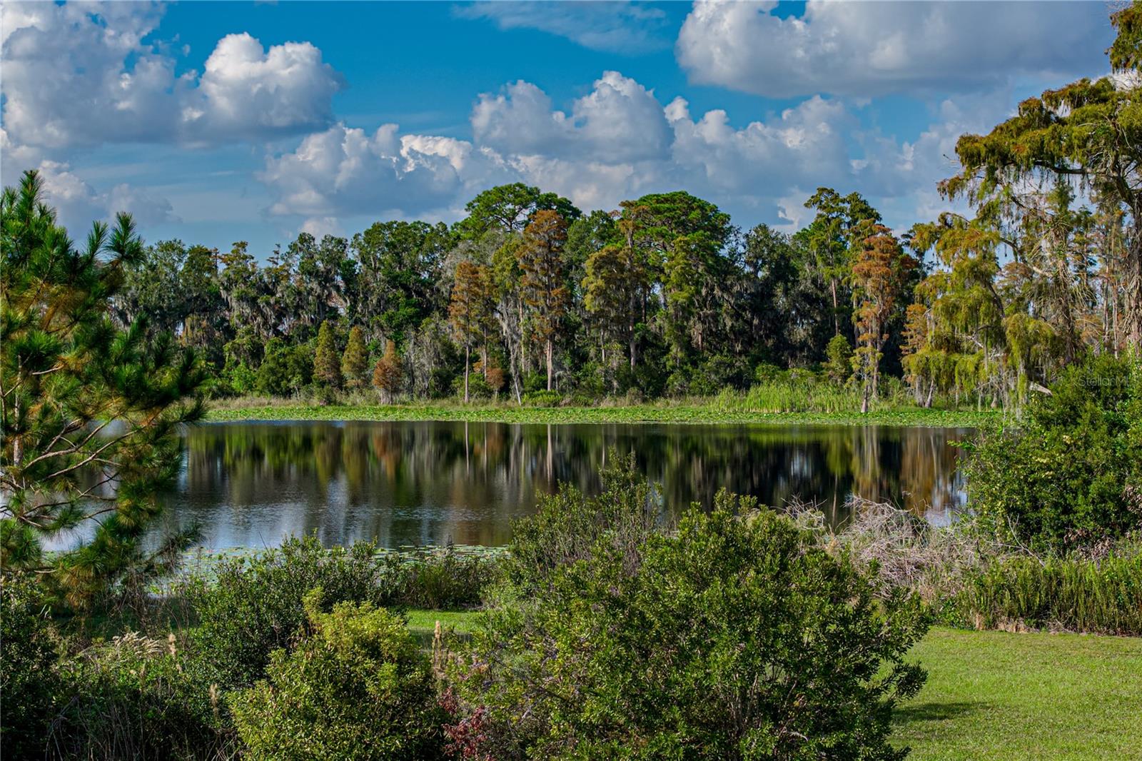 MORSANI - Residential