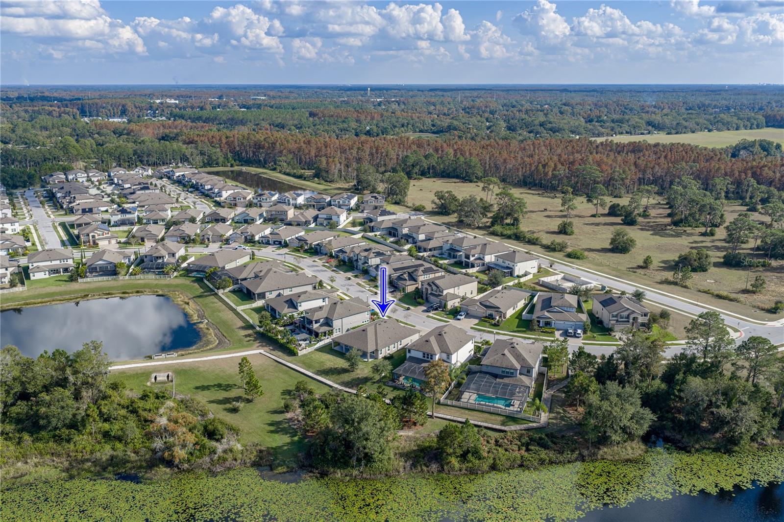 MORSANI - Residential