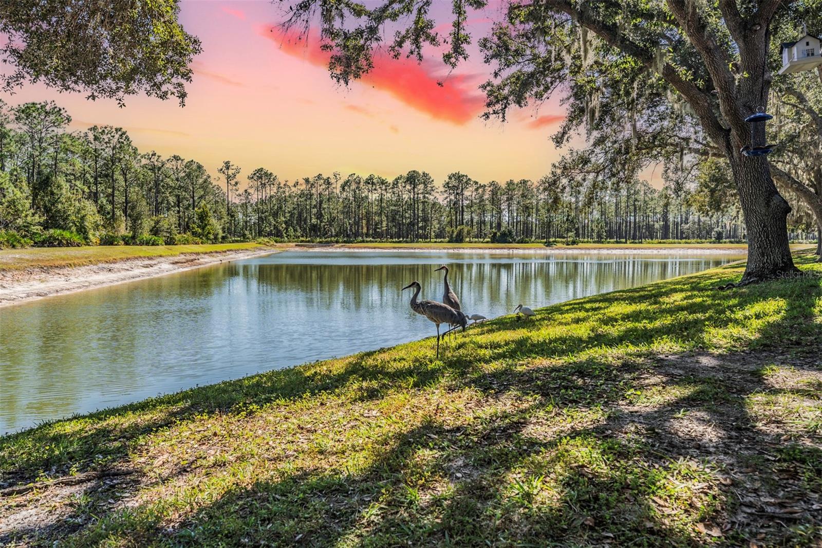 NORTH OAKCREST UNIT 1 - Residential