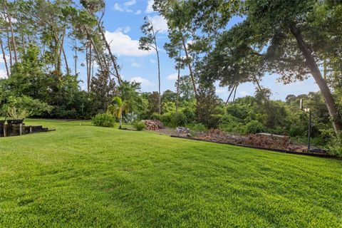 A home in PALM HARBOR