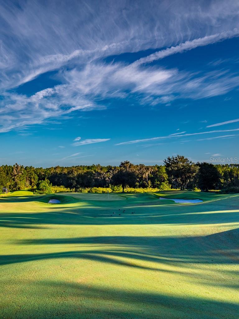 SOUTHERN HILLS HILLTOP - Land