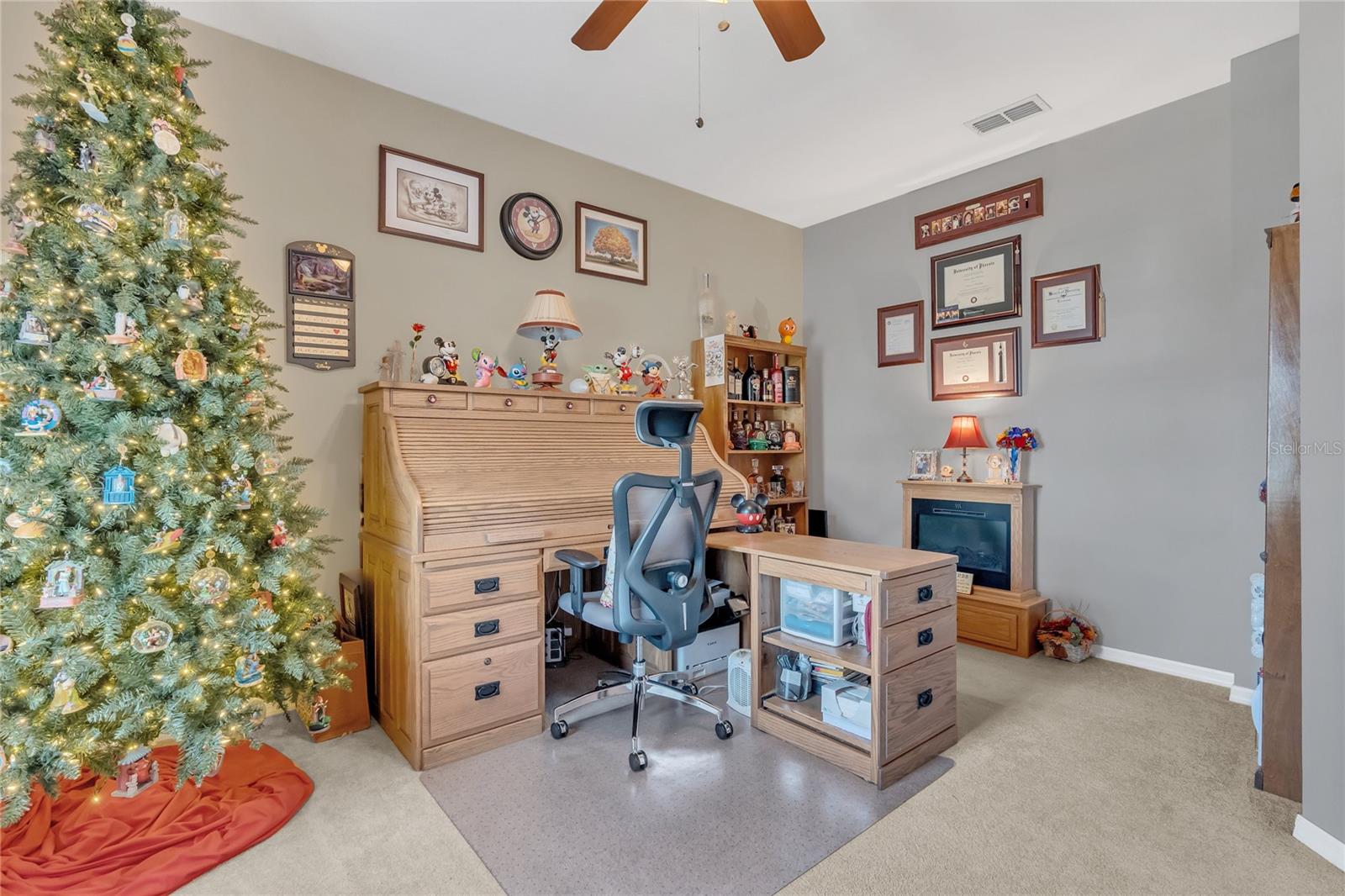 3050 GRASMERE VIEW PARKWAY