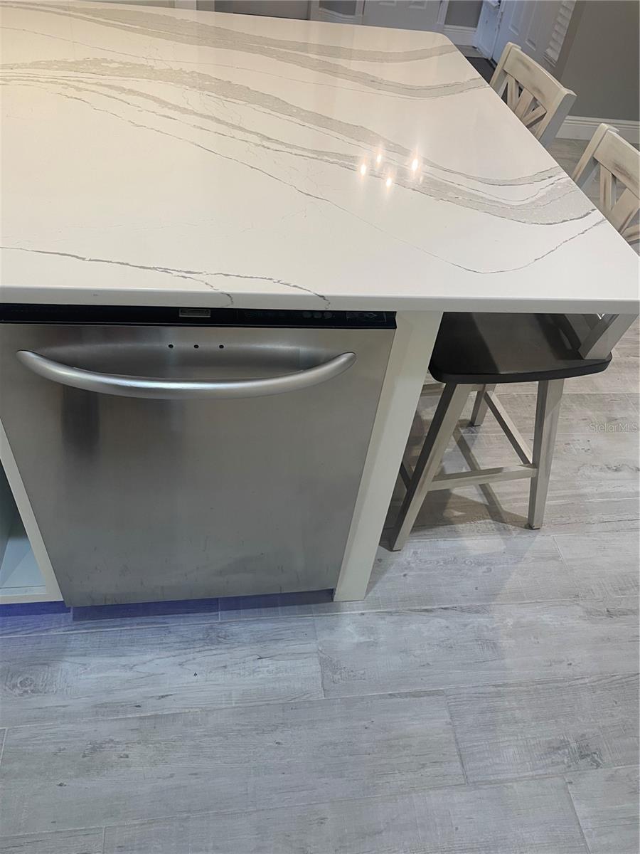 LEESBURG VILLAGE AT LAKE POINTE LT 66 PB 05 - Residential