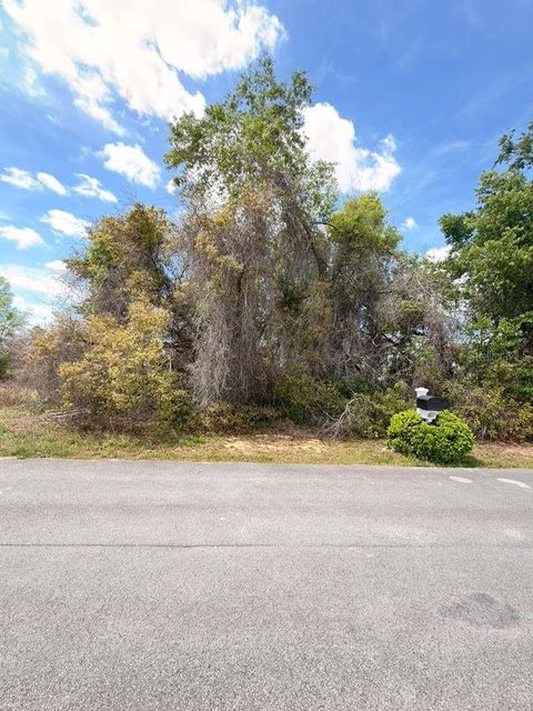 Tiny photo for SW 21 Court, Ocala, FL 34473 (MLS # O6394921)