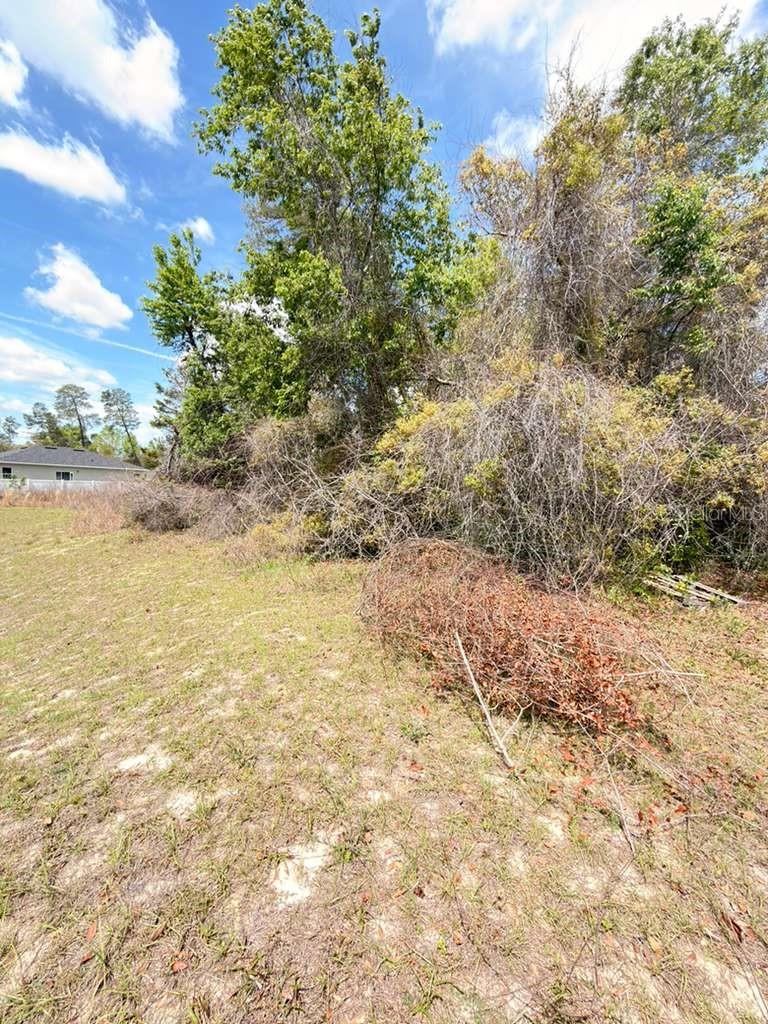 MARION OAKS UN 03 - Land