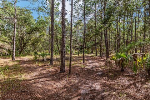 Tiny photo for 10351 SE 195th Street, Inglis, FL 34449 (MLS # OM703817)