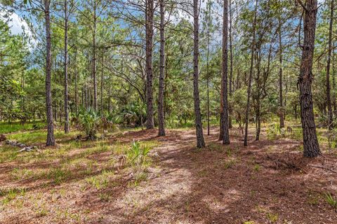 Tiny photo for 10351 SE 195th Street, Inglis, FL 34449 (MLS # OM703817)