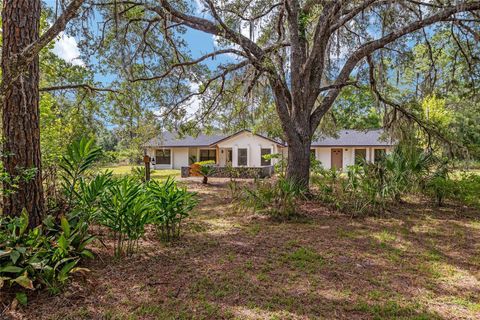 Photo of 10351 SE 195th Street, Inglis, FL 34449 (MLS # OM703817)