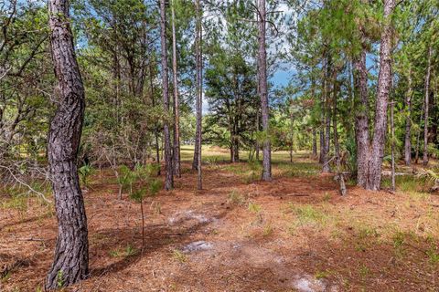 Tiny photo for 10351 SE 195th Street, Inglis, FL 34449 (MLS # OM703817)