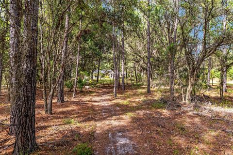 Tiny photo for 10351 SE 195th Street, Inglis, FL 34449 (MLS # OM703817)