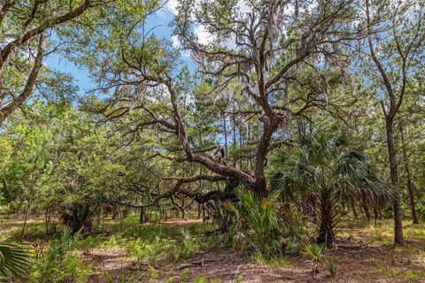 Tiny photo for 10351 SE 195th Street, Inglis, FL 34449 (MLS # OM703817)