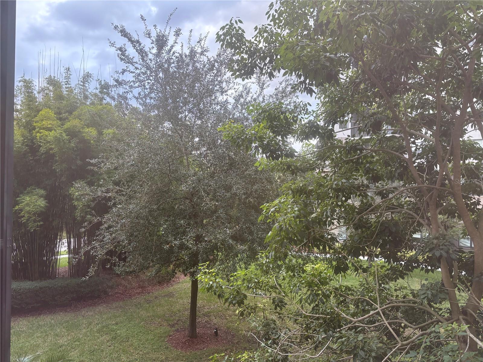 GROVE RESORT AND SPA HOTEL CONDOMINIUM - Residential