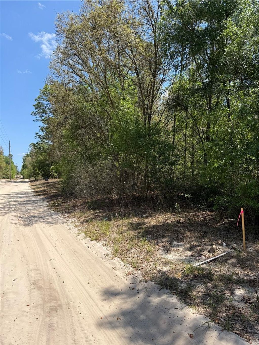 Photo of NE 118th Lane, Bronson, FL 32621 (MLS # O6399094)
