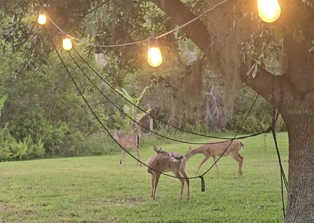 SPRING ISLE - Residential