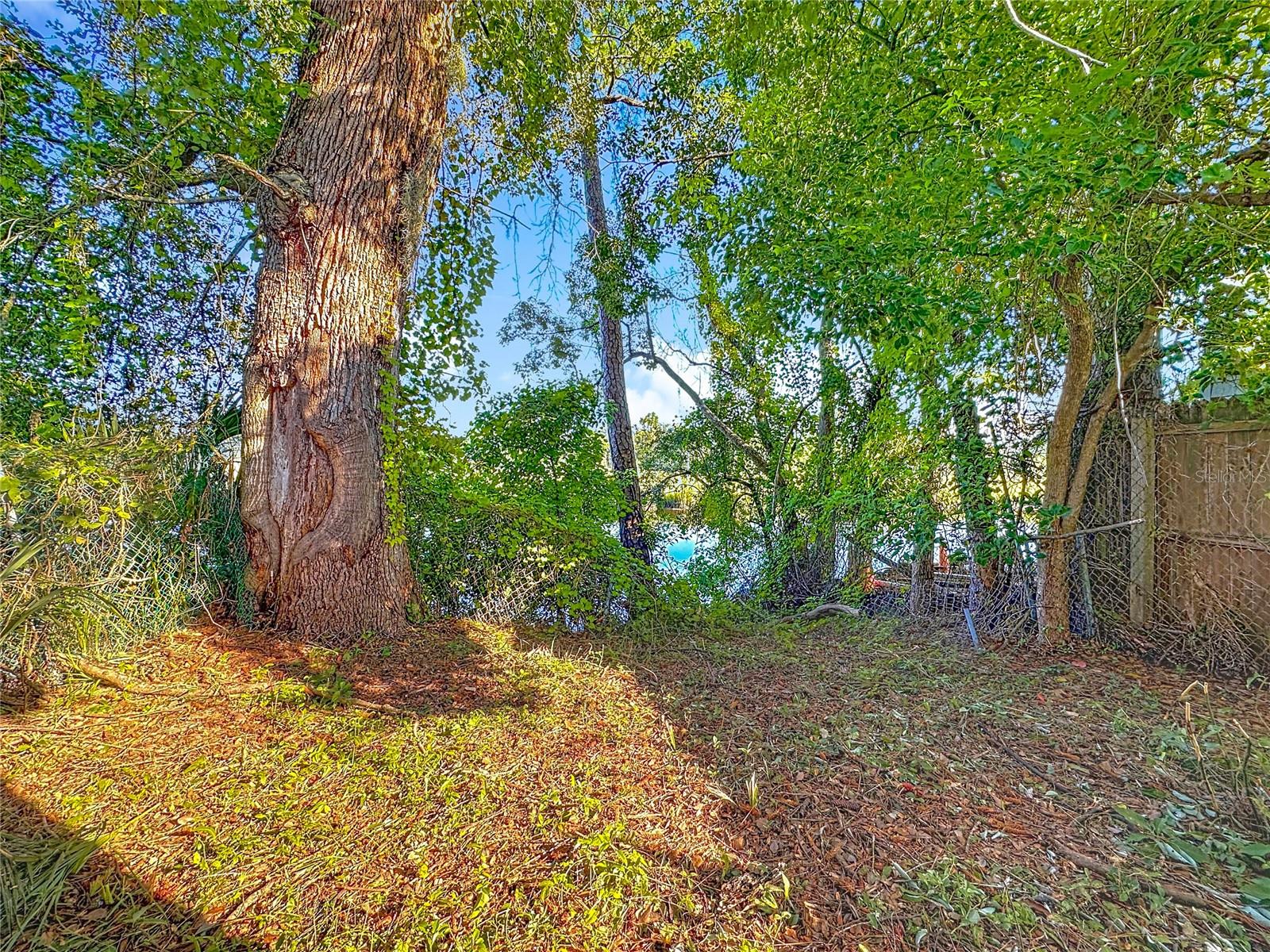 WASHINGTON HEIGHTS ESTATE #2 - Residential Lease