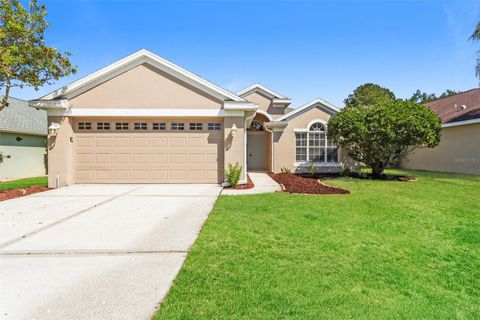 Photo of 23211 Bayou Grove Street, Land O Lakes, FL 34639 (MLS # C7526510)