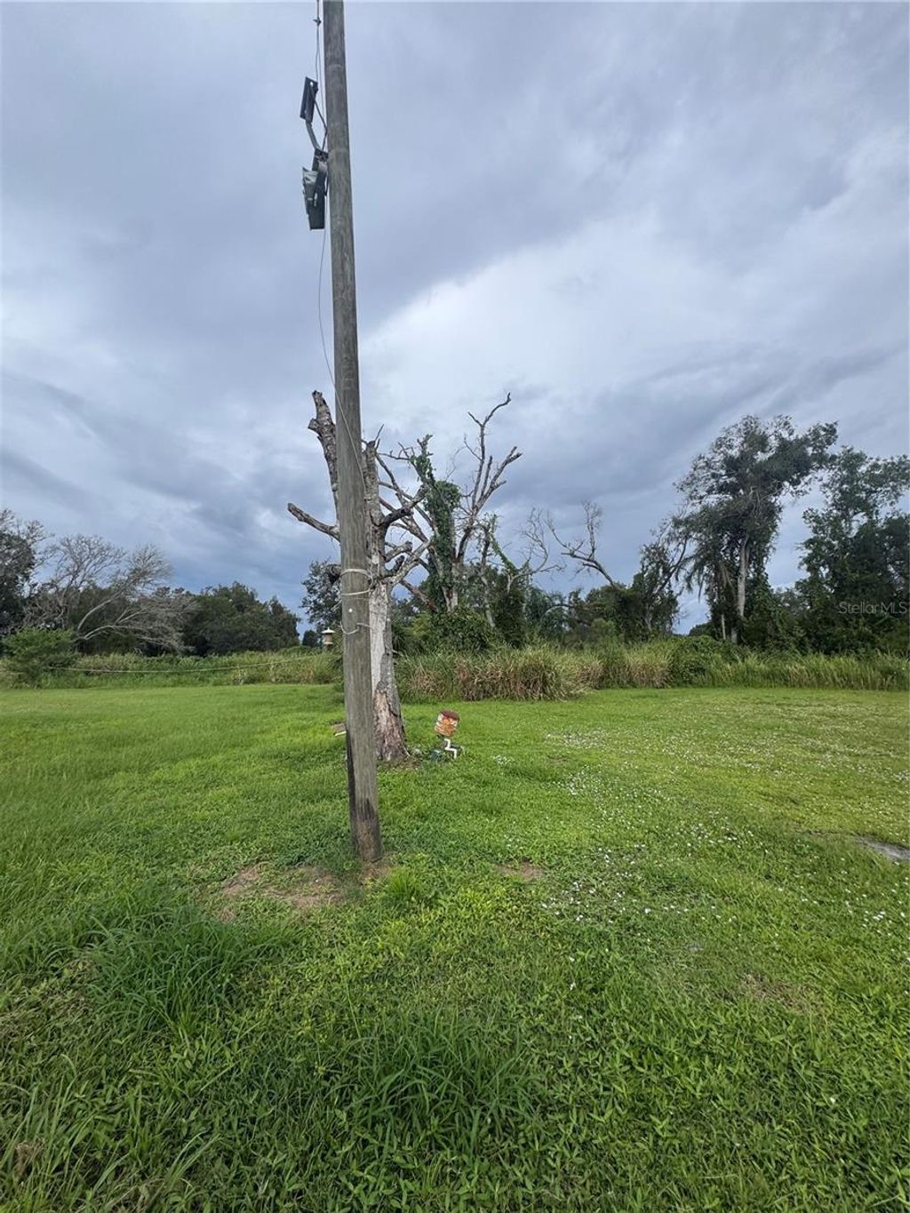 Photo of 3159 SW Harvey Avenue, Arcadia, FL 34266 (MLS # C7514638)
