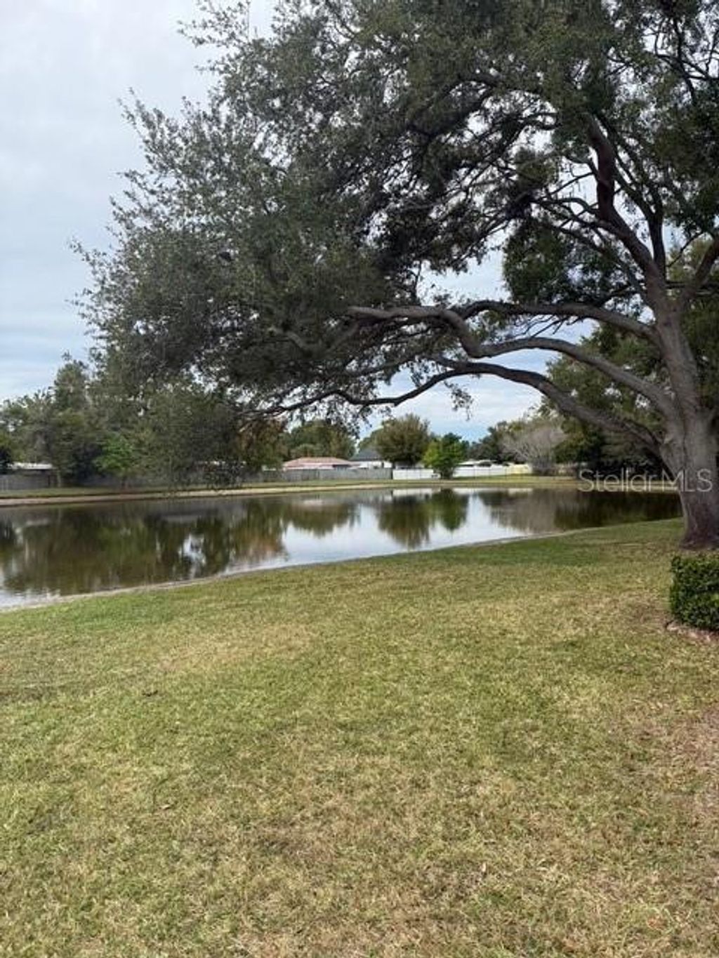 Photo of 3823 N Oak Drive #K11, Tampa, FL 33611 (MLS # TB8465080)