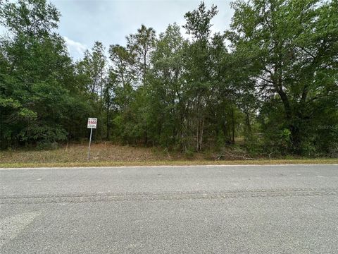 SE 152ND LANE SUMMERFIELD FL 34491