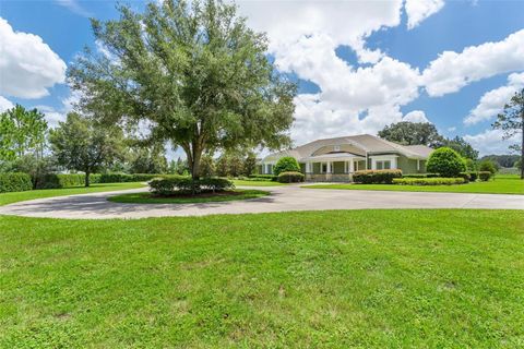 Tiny photo for 10615 NE 104th Circle, Oxford, FL 34484 (MLS # G5110792)