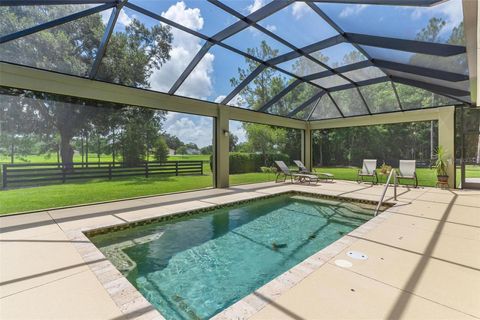 Tiny photo for 10615 NE 104th Circle, Oxford, FL 34484 (MLS # G5110792)