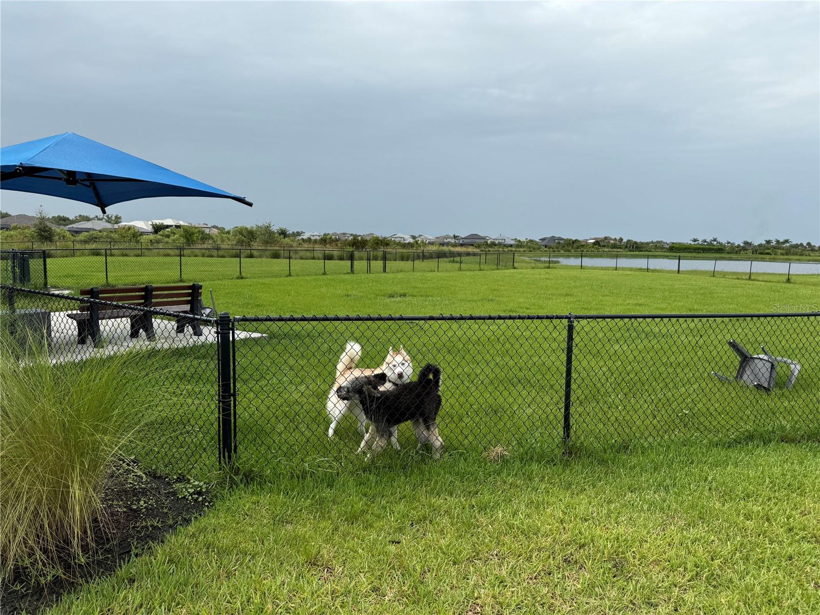 LT RANCH NBRHD ONE - Residential