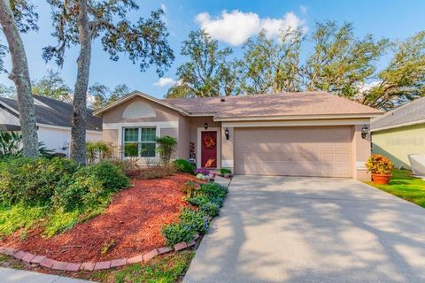 A home in VALRICO