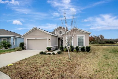 Photo of 10209 Agave Court, Land O Lakes, FL 34638 (MLS # TB8469366)