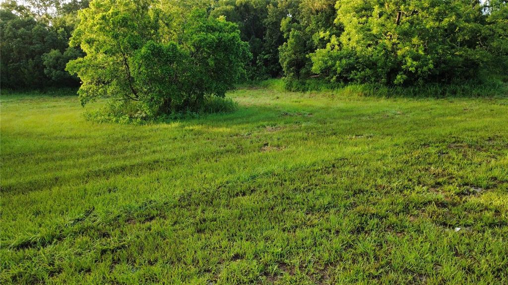 Photo of 327 Beaverbrook Lane, Oak Hill, FL 32759 (MLS # O6385341)