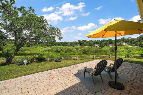 A home in MOUNT DORA