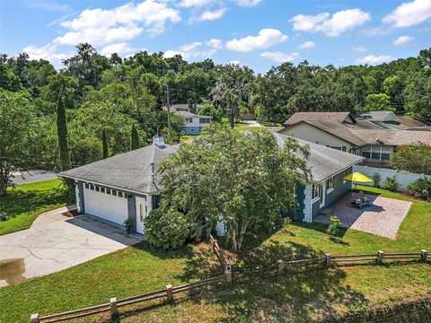 A home in MOUNT DORA