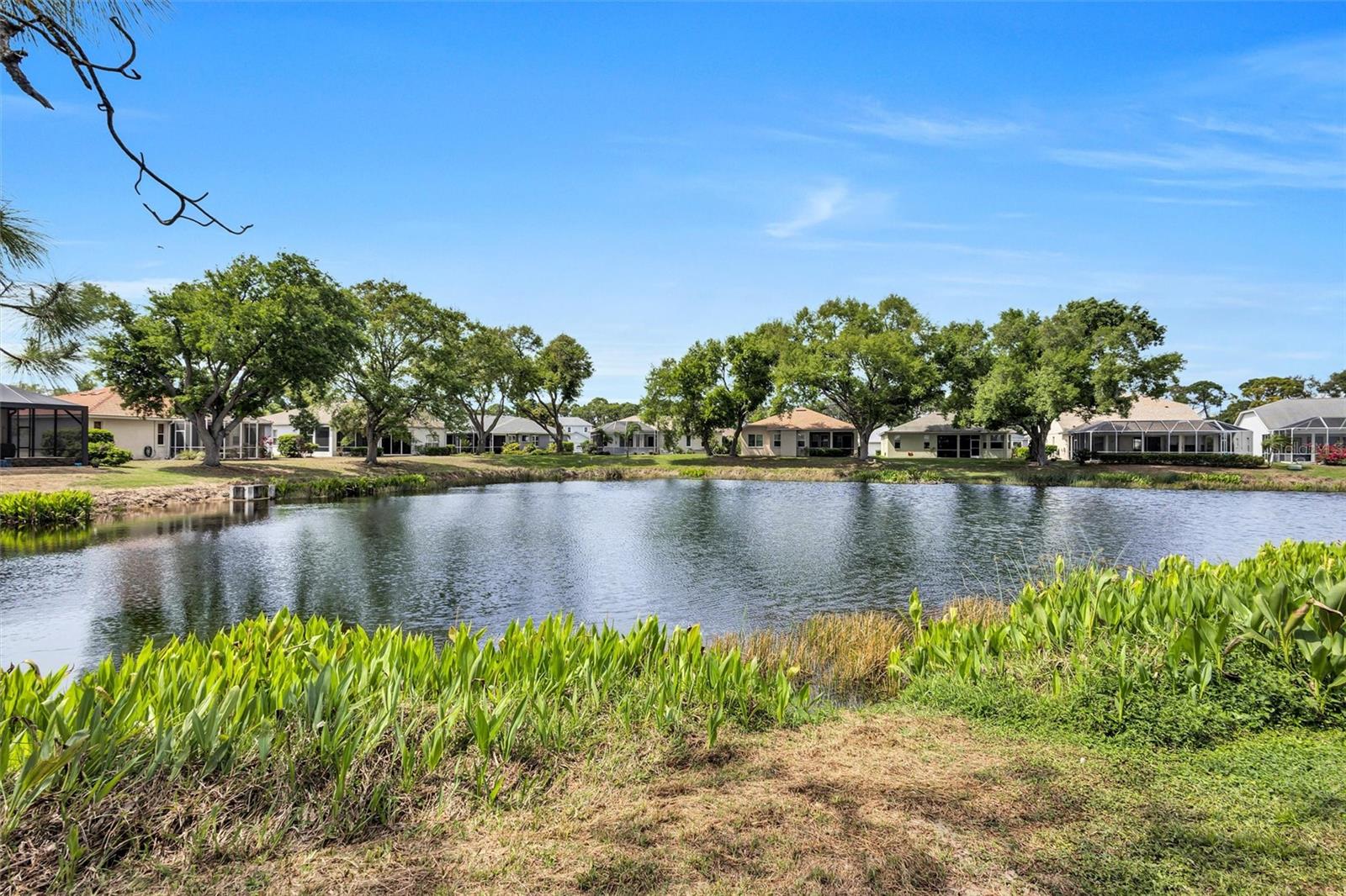 STONEYBROOK AT PALMER RANCH - Residential