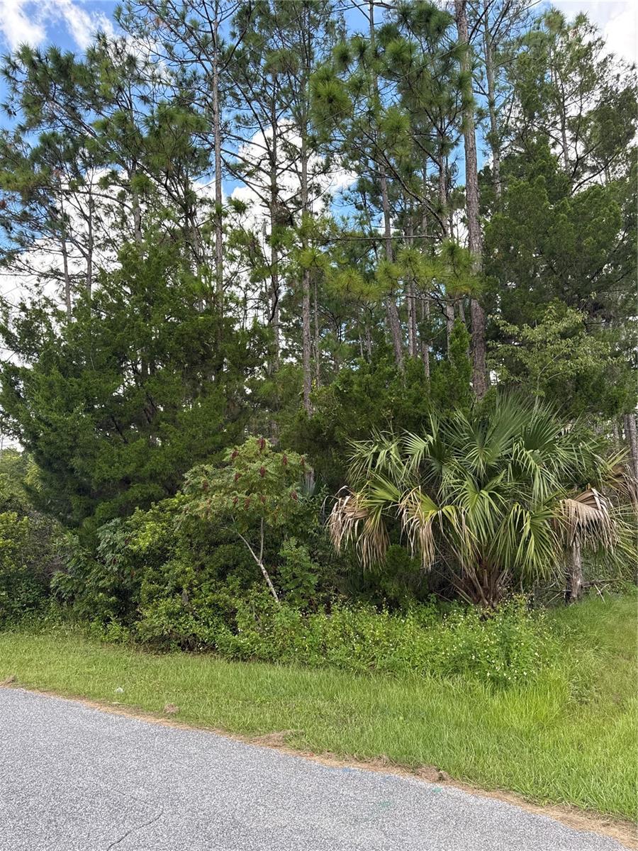 PALM COAST SEC 57 - Land